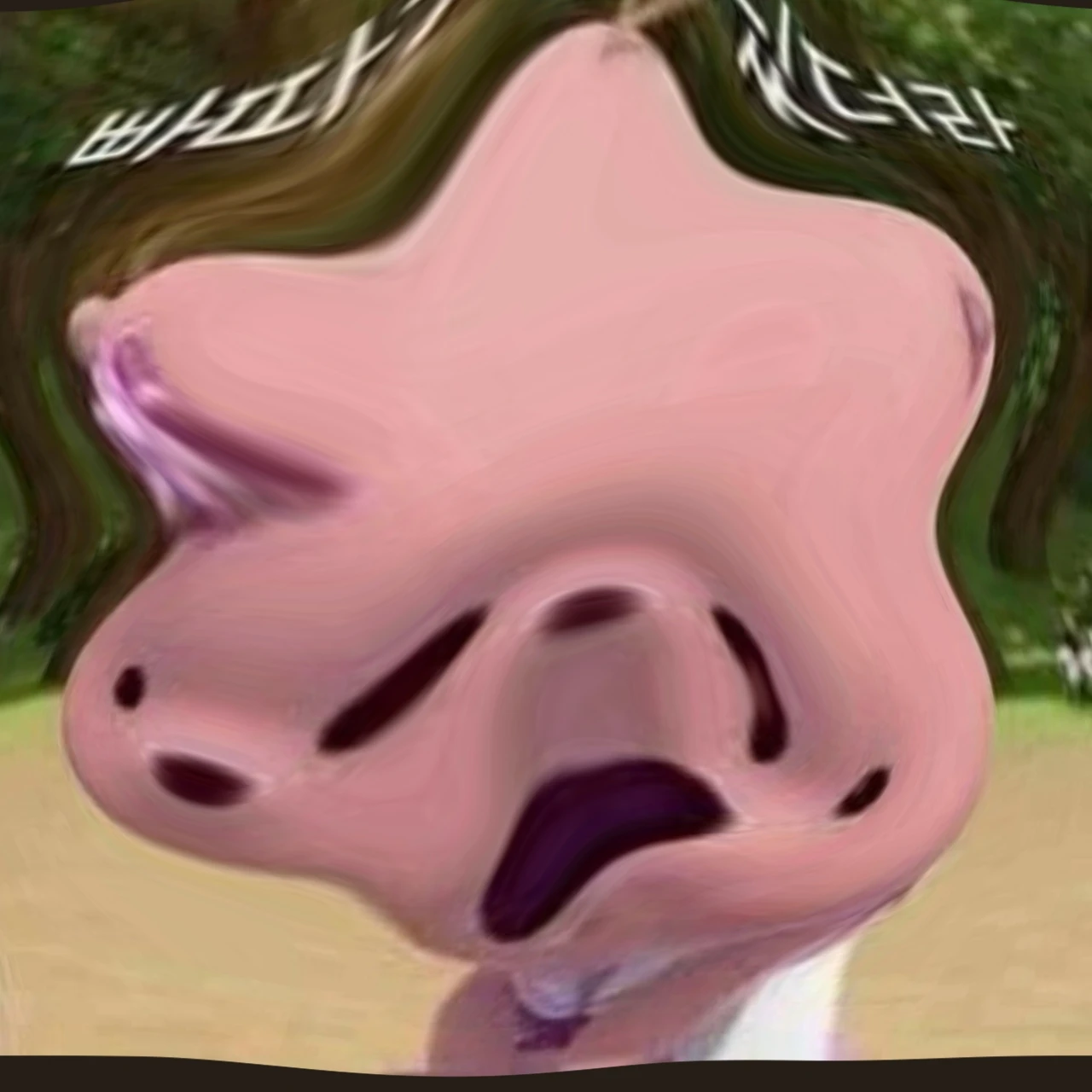 루피