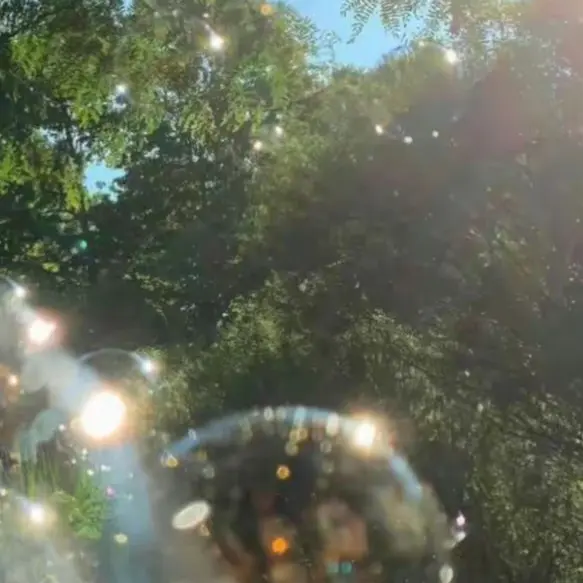 PlushyWire5115의 정공룡