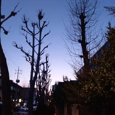 Profile image of 빌더맨