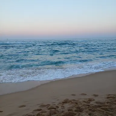 Profile image of 게스트 1337