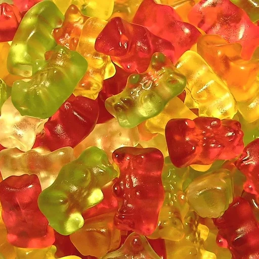 꿀꿀꿀이