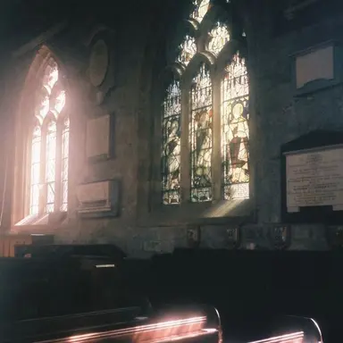 Profile image of 라엘