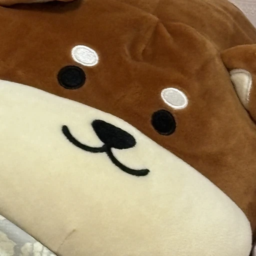 안도도