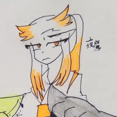Profile image of 夜鷹