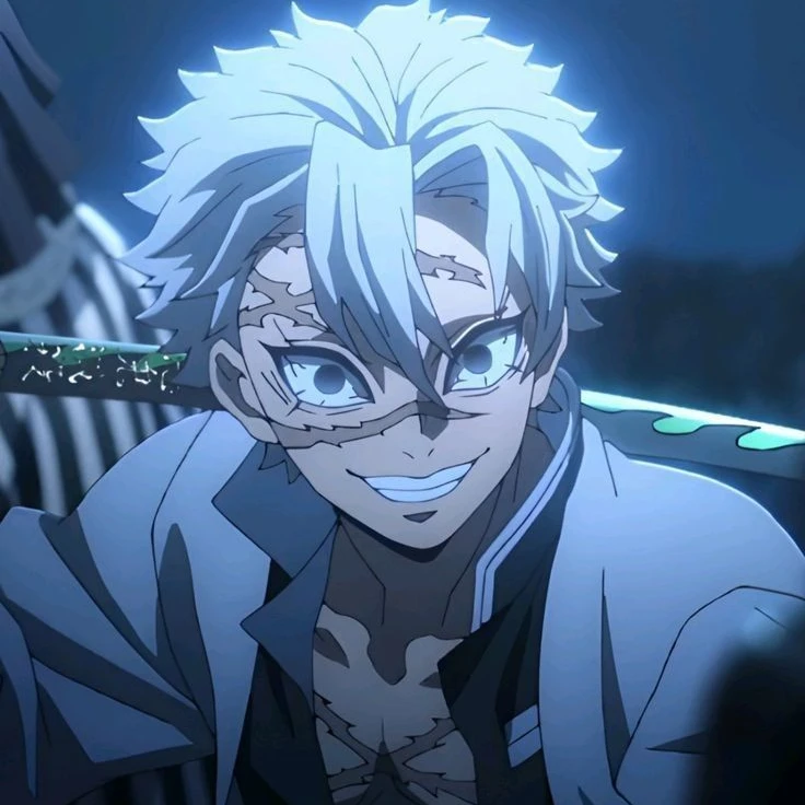 시나즈가와 사네미