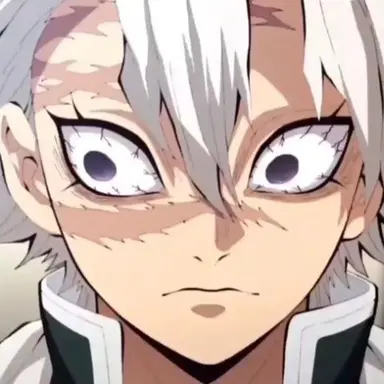 Profile image of 시나즈가와 사네미