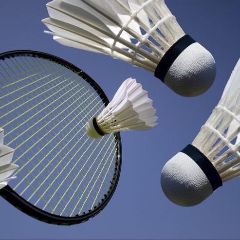 🏸라켓 소년단🏸 대표 이미지