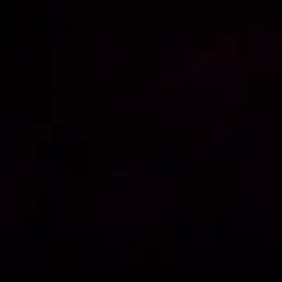 Profile image of 벡스