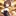 オトナなわんちゃん