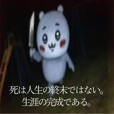 Profile image of 豆柴めめ子