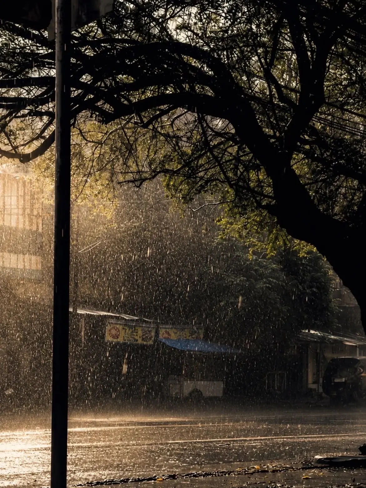 xiaoguang의 Rain
