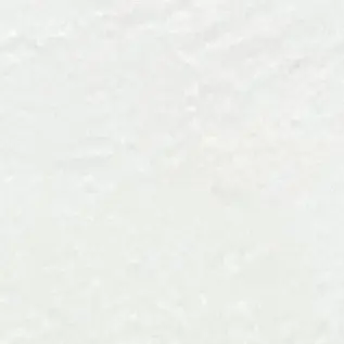 Profile image of 후지나가 사쿠야