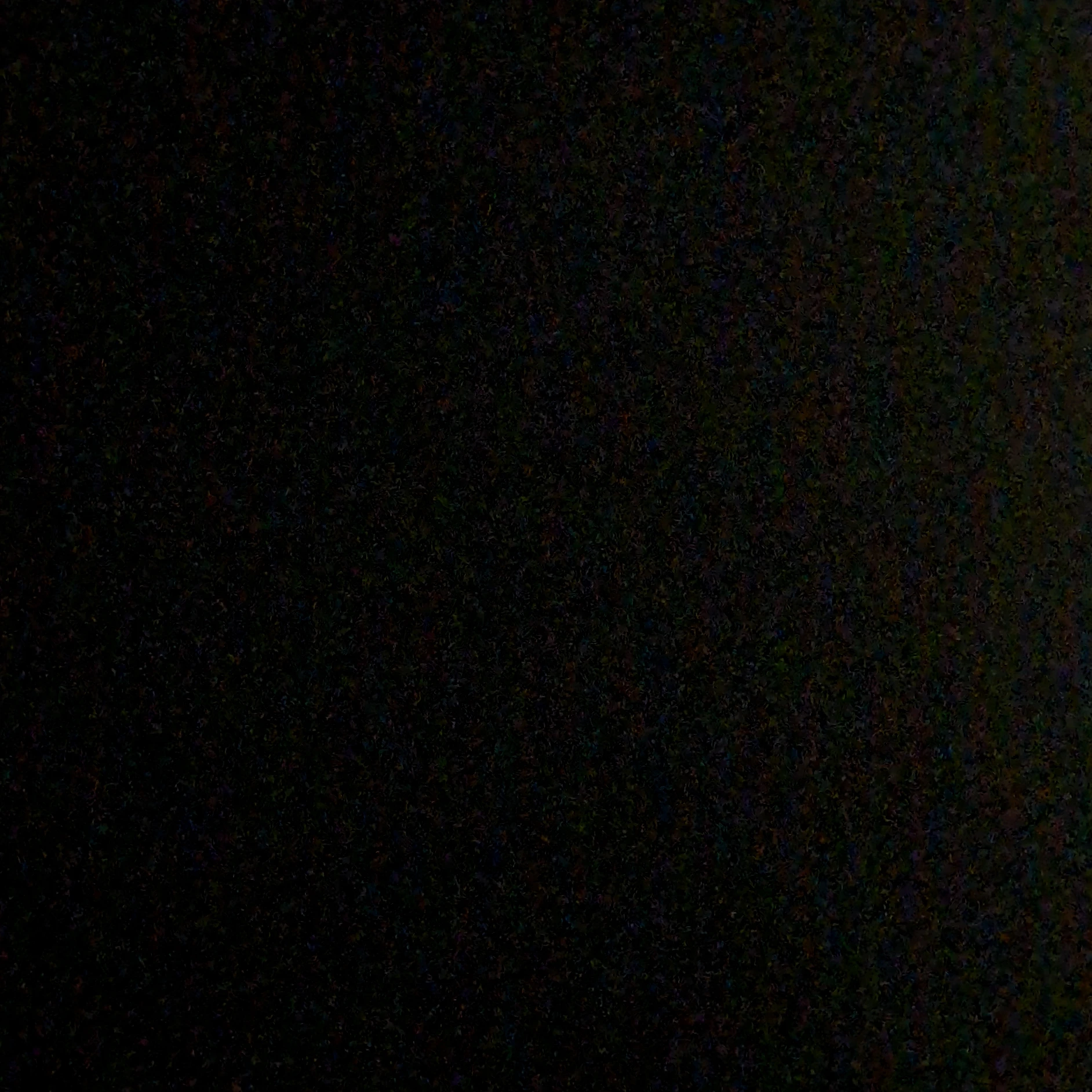 양정인