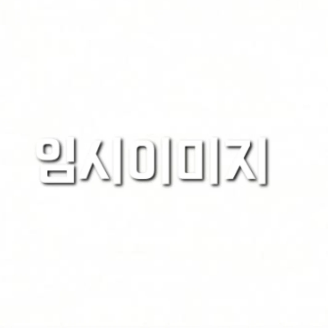 설명