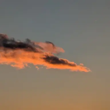 Profile image of 琴葉