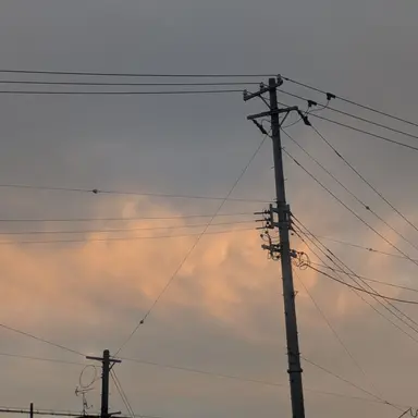 Profile image of 莉奈