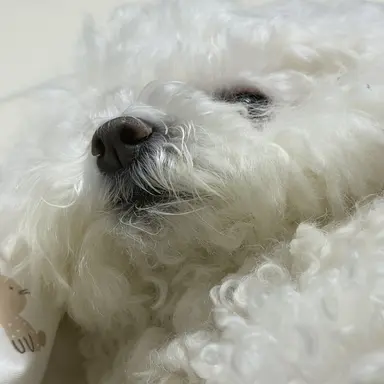 Profile image of 리톈천