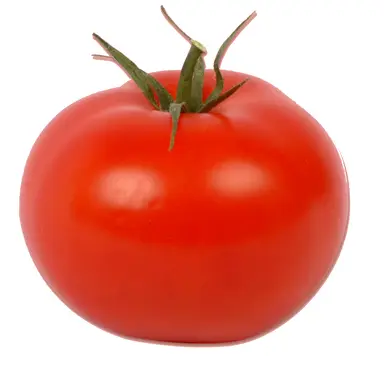 Profile image of 토마토