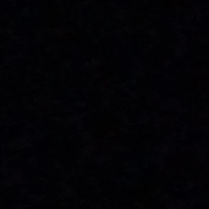 미나모토 테루