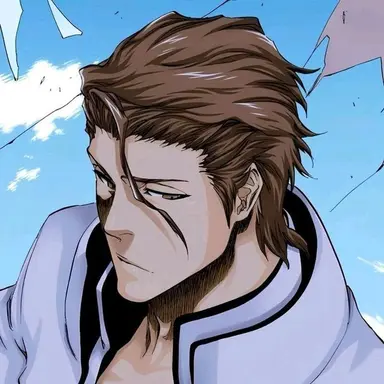 Profile image of Sosuke Aizen
