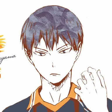 Profile image of 影山 飛雄