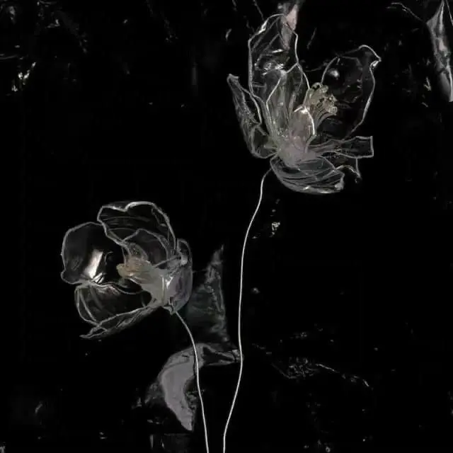 oomi_n.n의 酔い原