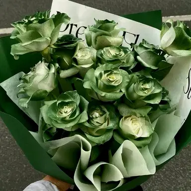 Profile image of 공룡