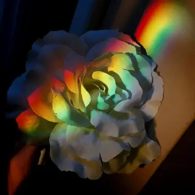 Profile image of 픽셀리