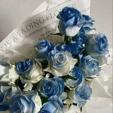 Profile image of 잠뜰