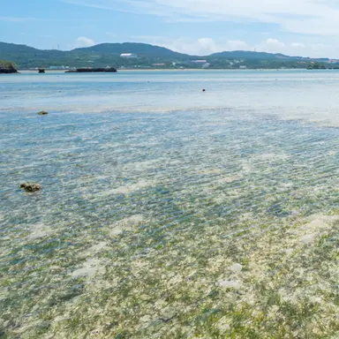 Profile image of Blue Lock