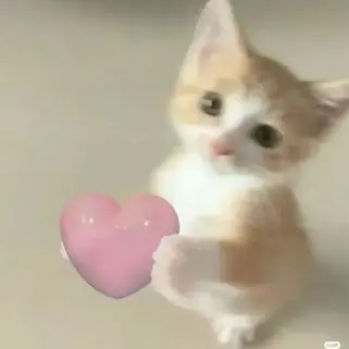 kim_ong_nyang의 고고프렌즈