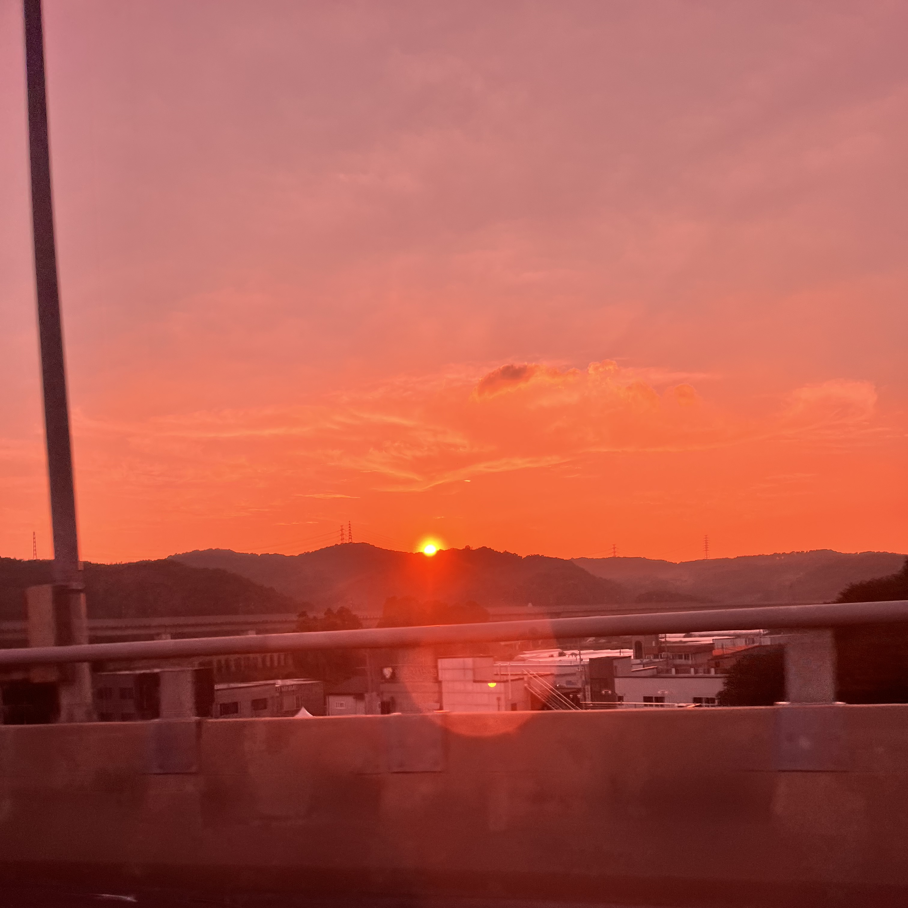 뜰팁학교에 전학온 당신! +여우 대표 이미지