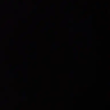 Profile image of 이상혃