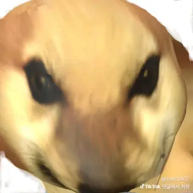 Profile image of 플래이어3