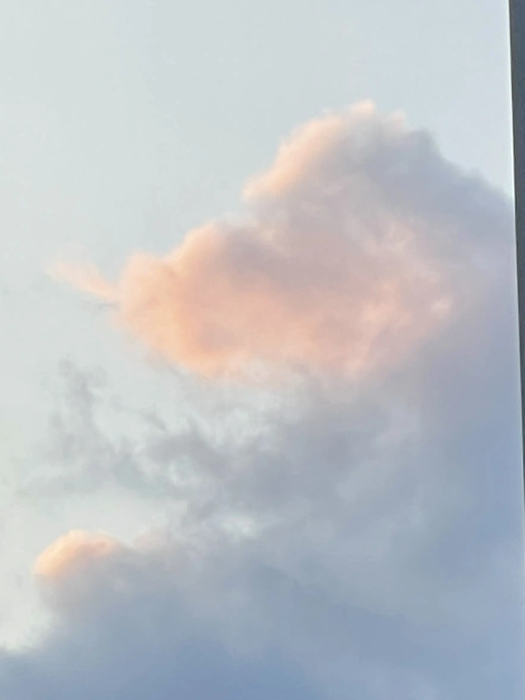 Jingburgerislove의 사장님이 너무 귀엽다.