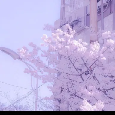 Profile image of 한노아