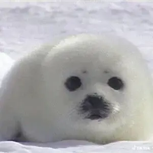 Profile image of 햇살