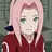 Profile image of サクラ