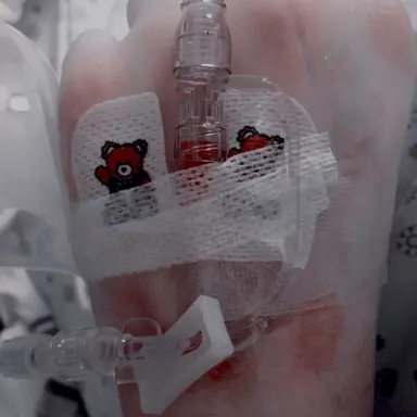 Profile image of 백 한