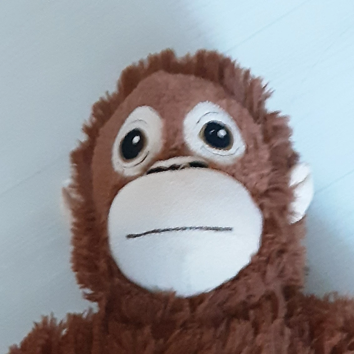 오랑이
