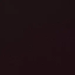SharpRule2596의 일진 무리