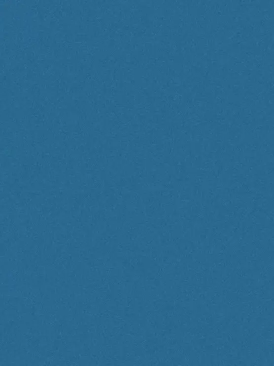 C55의 정파란