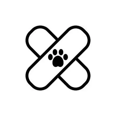 Profile image of 이트
