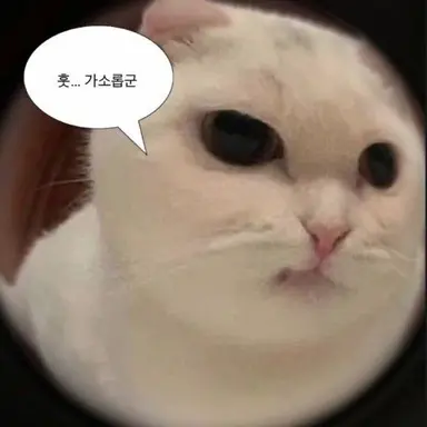Profile image of 이히