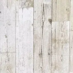 Profile image of 太智