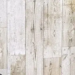 Profile image of 舜太