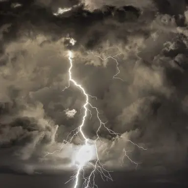 Profile image of 우로 엘루비아