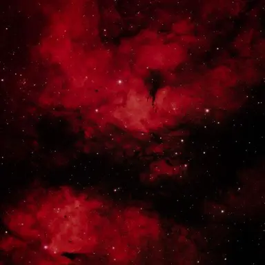 Profile image of 이안 로루살렌드