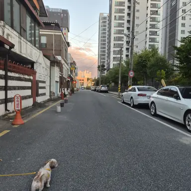 Profile image of 토미오카 기유