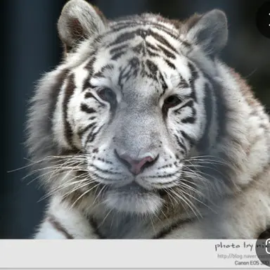 Profile image of 애런